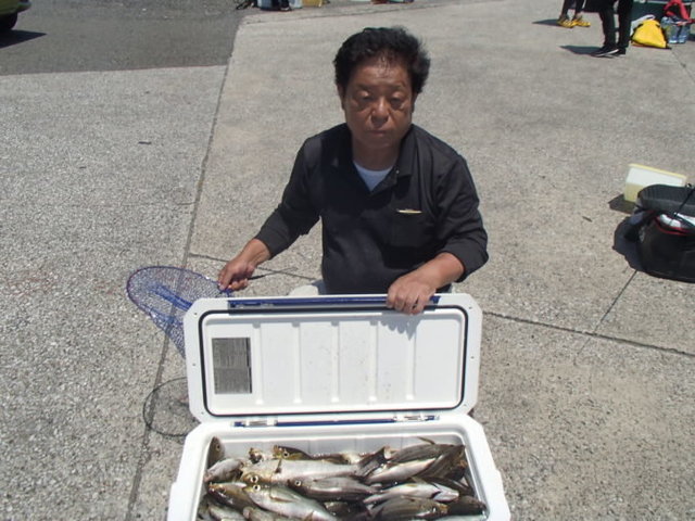 マアジ・イサキ