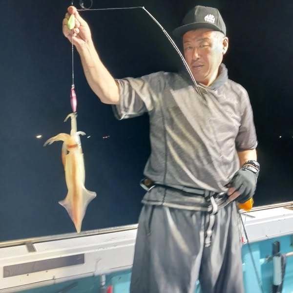 イカ(ヤリイカ)