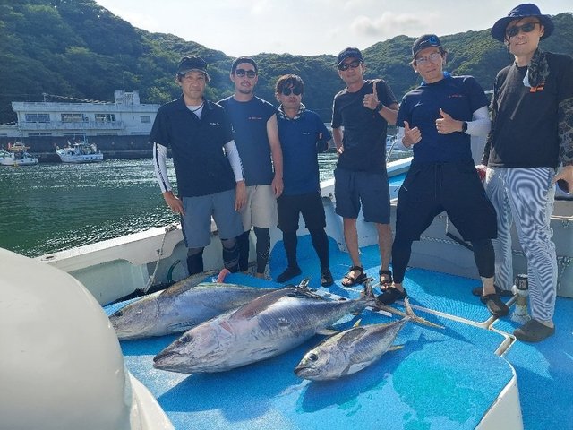 キハダマグロ(キハダ)