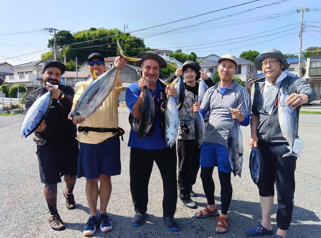 キメジ(キハダ)