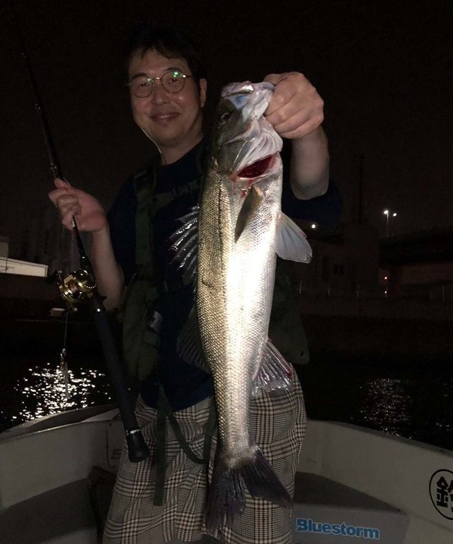 シーバス(スズキ)