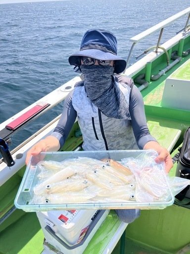 マルイカ(ケンサキイカ)