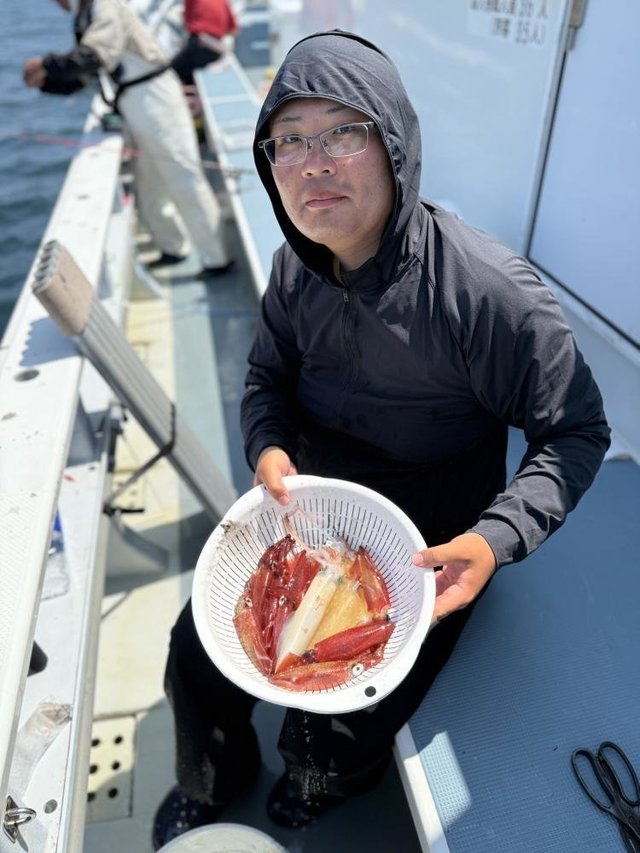 マルイカ(ケンサキイカ)