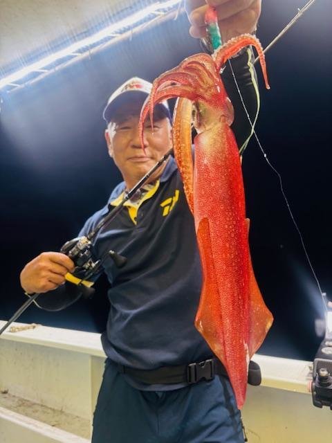 イカ(ケンサキイカ)