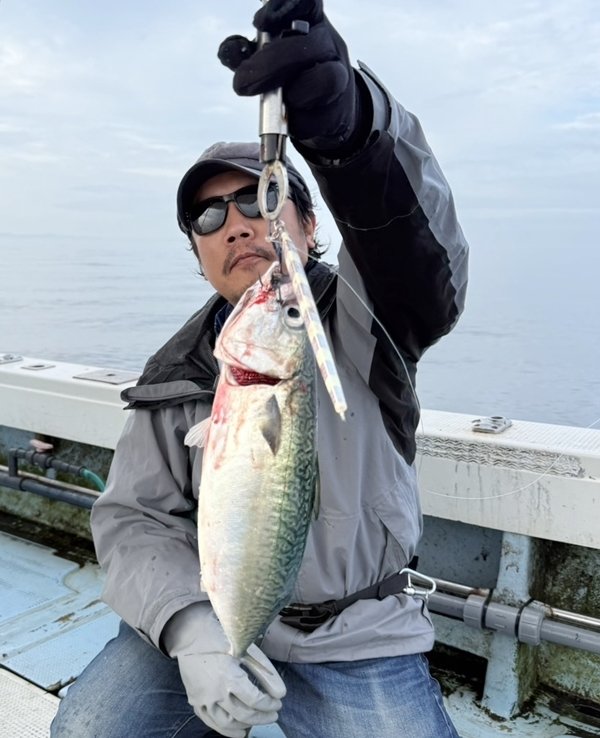 サバ(ゴマサバ)