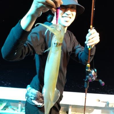 マイカ(ケンサキイカ)