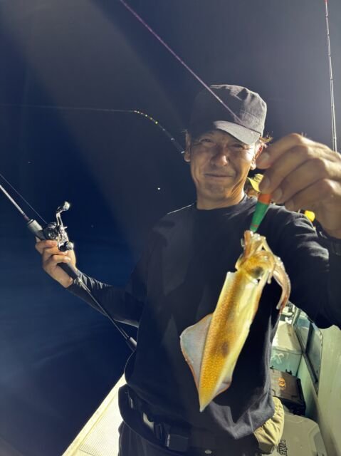 マイカ(ケンサキイカ)