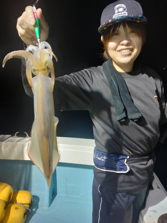 イカ(ヤリイカ)