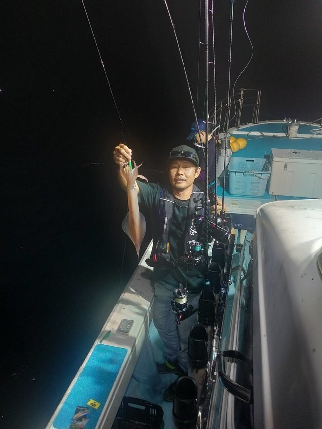 イカ(ヤリイカ)