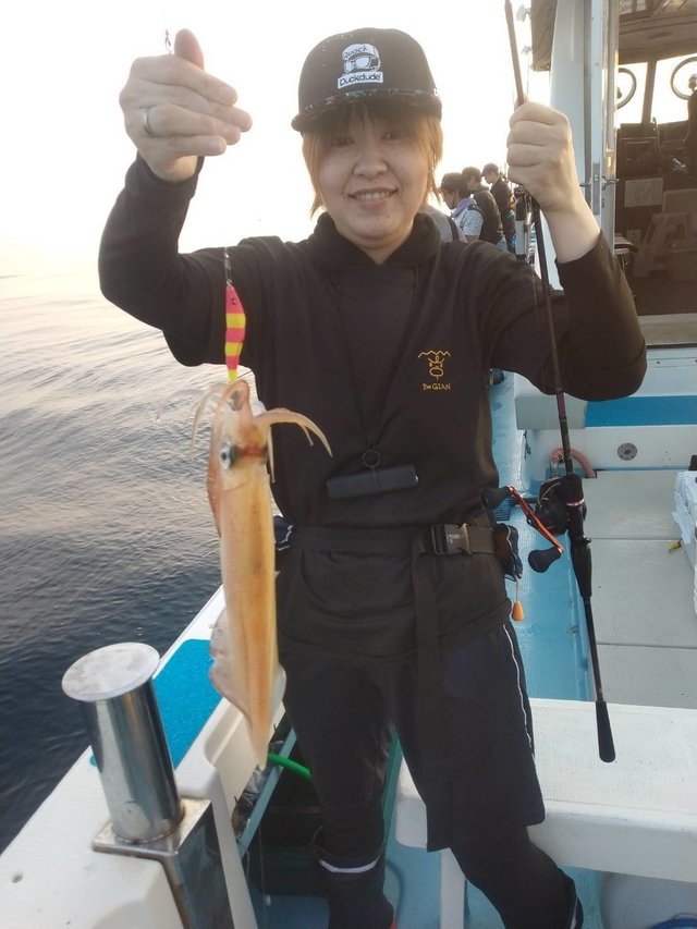 イカ(ヤリイカ)