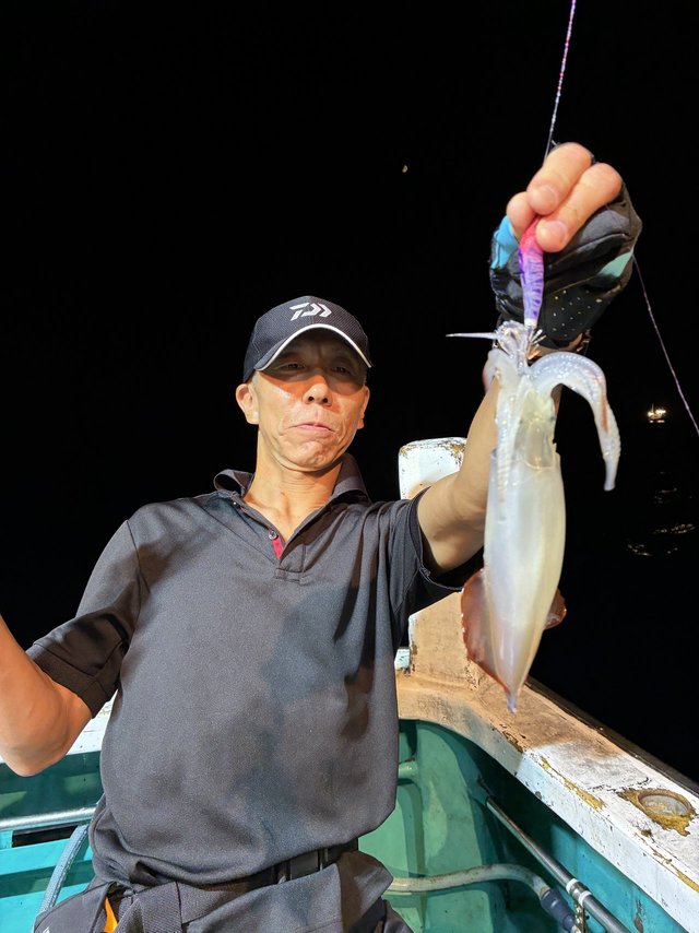 アカイカ(ケンサキイカ)