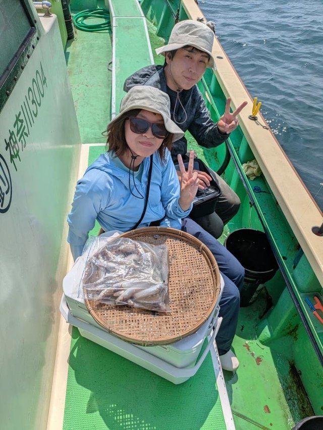 シロキス(シロギス)