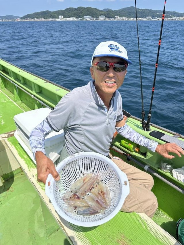 マルイカ(ケンサキイカ)