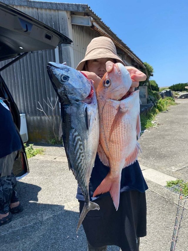 マダイ・スマガツオ(スマ)