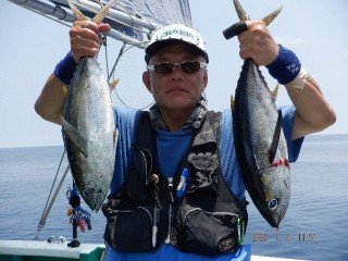 キメジ(キハダ)