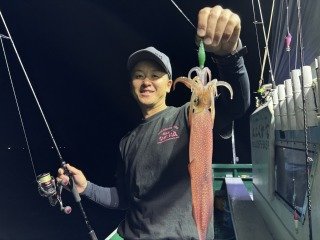 アカイカ(ケンサキイカ)