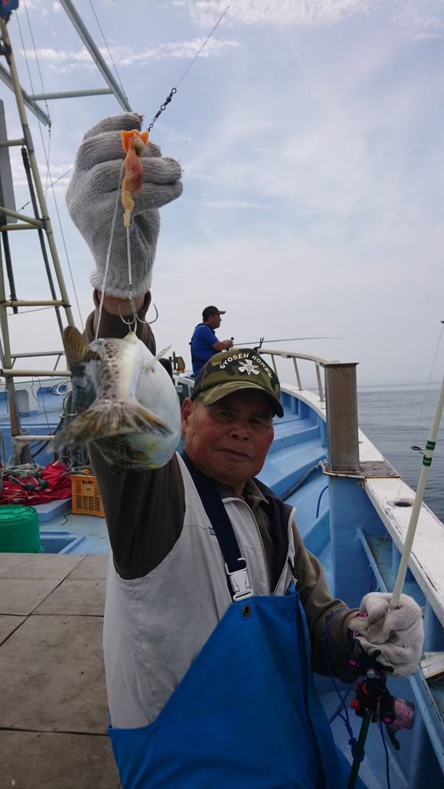 ショウサイフグ