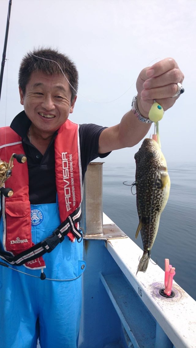 ショウサイフグ