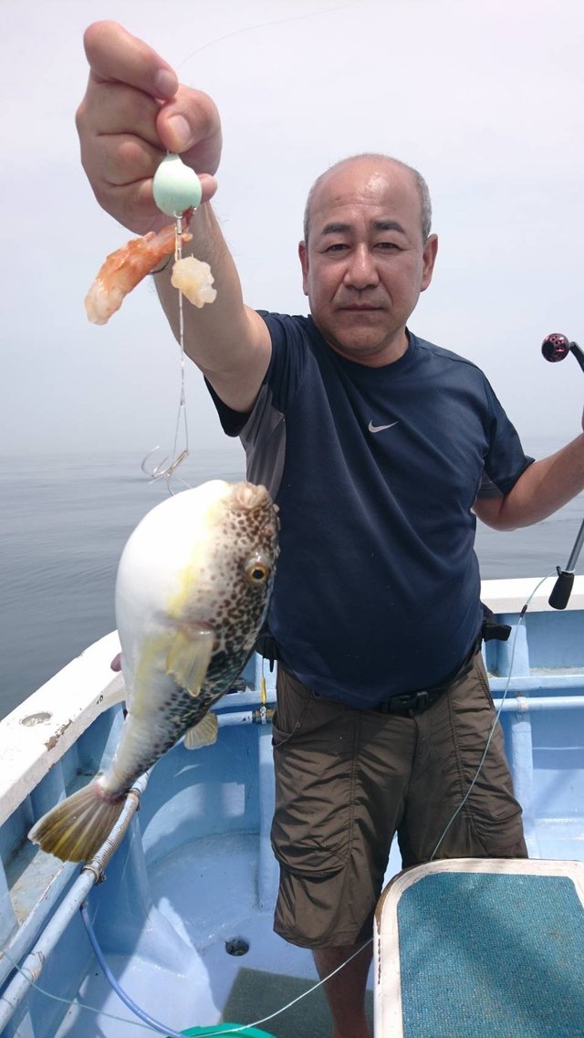 ショウサイフグ