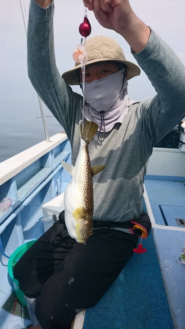 ショウサイフグ