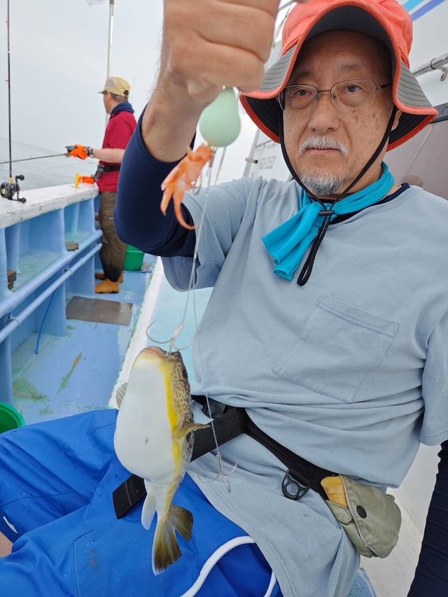 ショウサイフグ