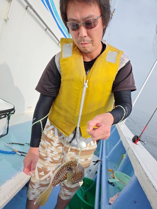 ショウサイフグ