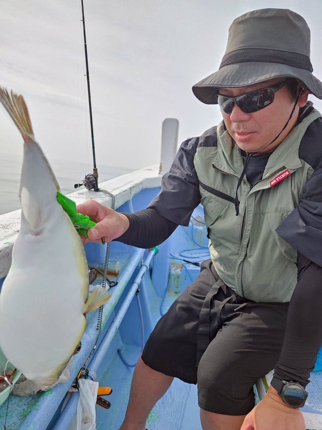 ショウサイフグ