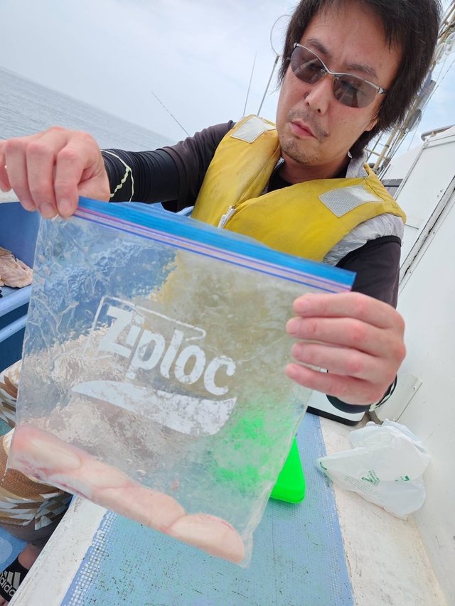 ショウサイフグ