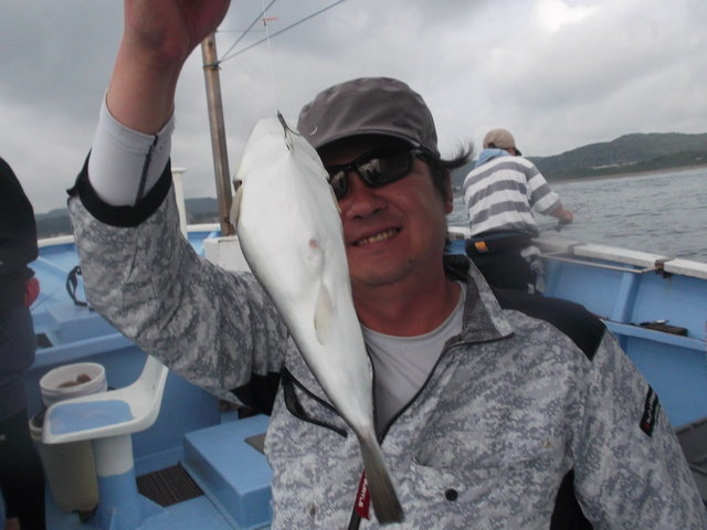 ショウサイフグ