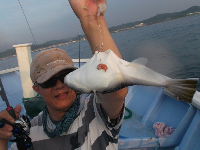 ショウサイフグ