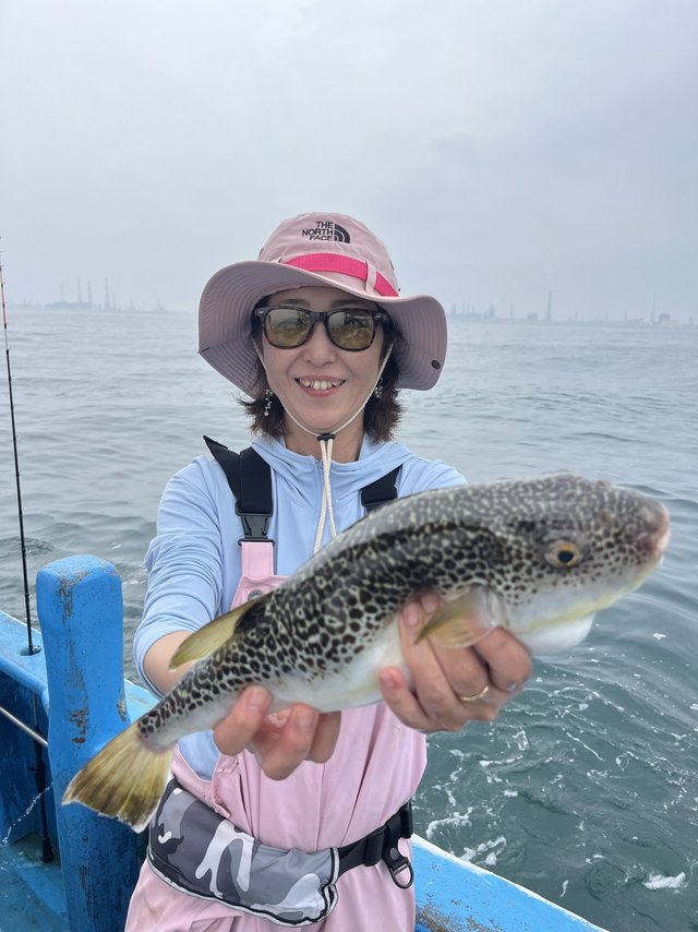 フグ(ショウサイフグ)