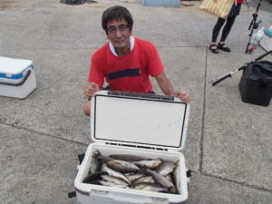 マアジ・イサキ