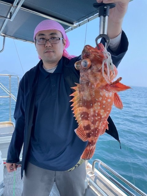 ウッカリカサゴ