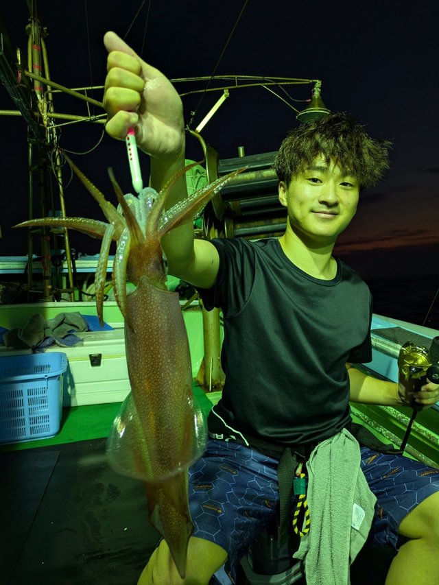 イカ(ケンサキイカ)