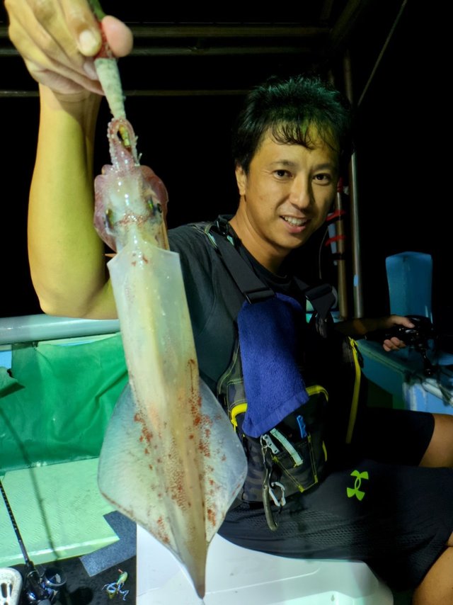 イカ(ケンサキイカ)