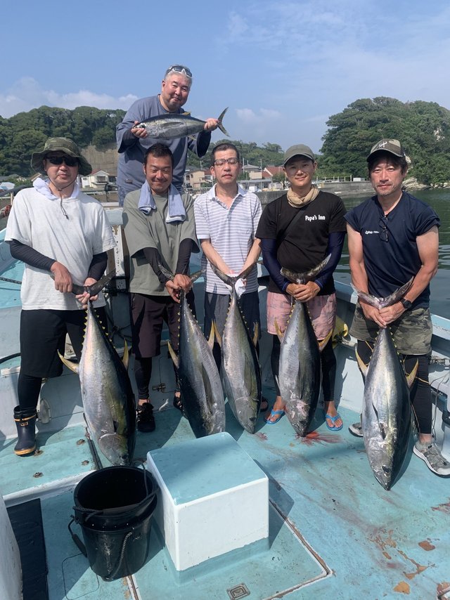 キハダマグロ(キハダ)