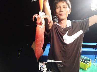 マイカ(ケンサキイカ)