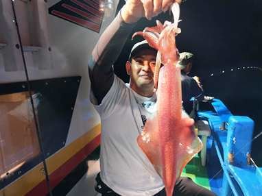 マイカ(ケンサキイカ)