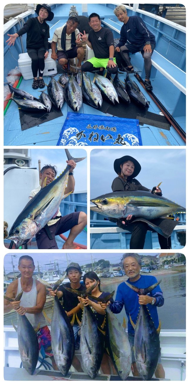 キハダマグロ(キハダ)