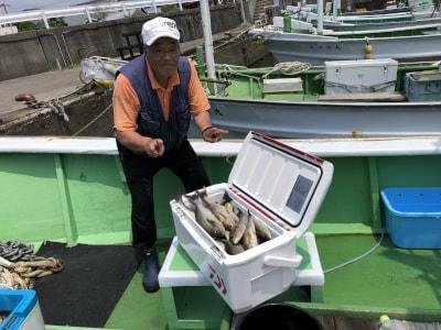 イサギ(イサキ)