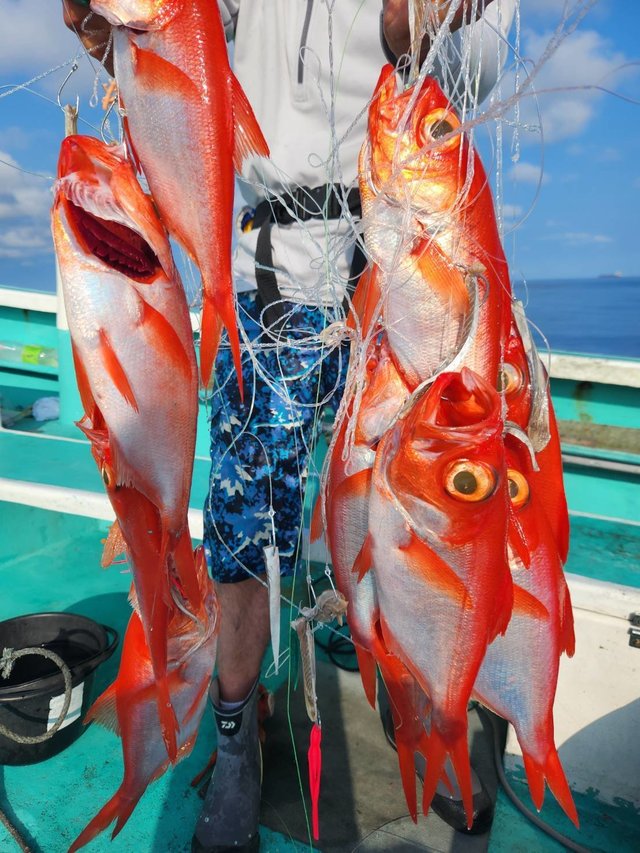 キンメ(キンメダイ)