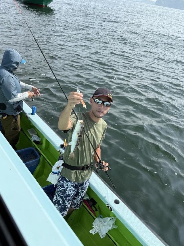 フグ(ショウサイフグ)