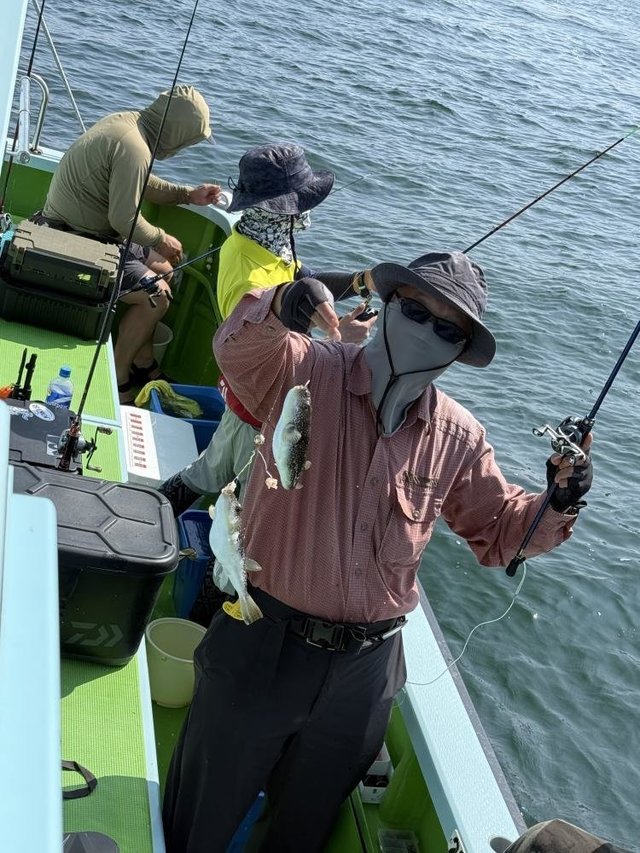 フグ(ショウサイフグ)