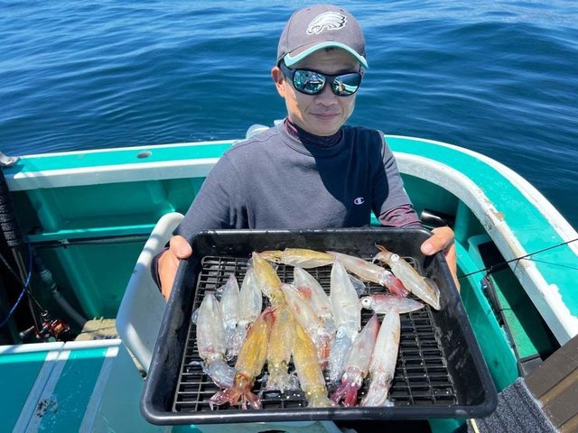 マルイカ(ケンサキイカ)