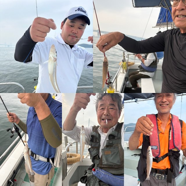 キス(シロギス)