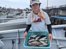 アジ(マアジ)・ハタ(マハタ)