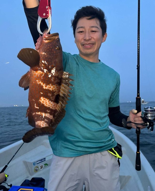 アコウ(キジハタ)