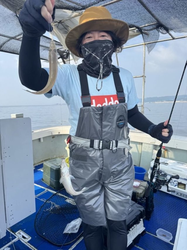 キス(シロギス)