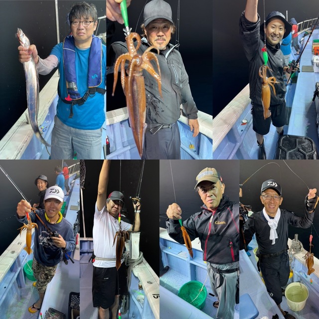 マルイカ(ケンサキイカ)