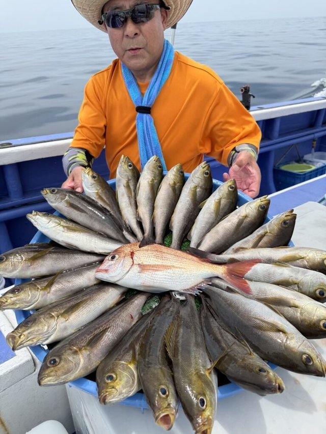 ハナダイ(チダイ)・イサキ